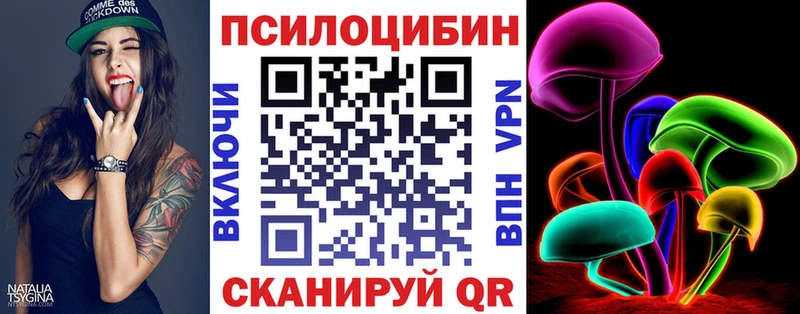 Псилоцибиновые грибы мицелий  где купить наркоту  Шимановск 